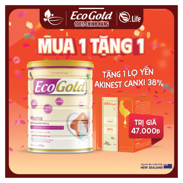 ECOGOLD MAMA 800g- Sữa cho mẹ bầu & cho con bú - Hình ảnh 2